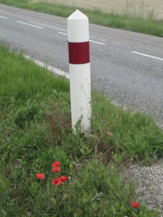 coquelicots_024.JPG